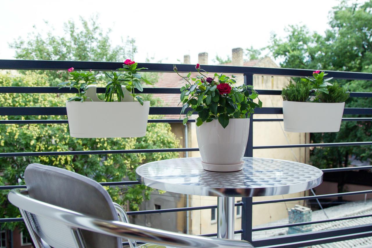Apartman Boska Lux 수보티차 외부 사진